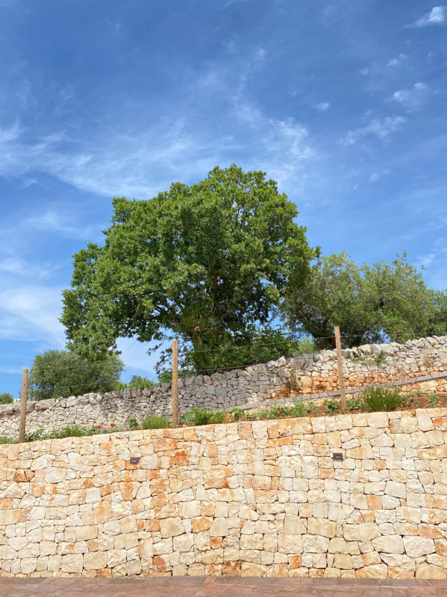 Trulli Mbs By Apulia Hospitality Lägenhet Locorotondo Exteriör bild