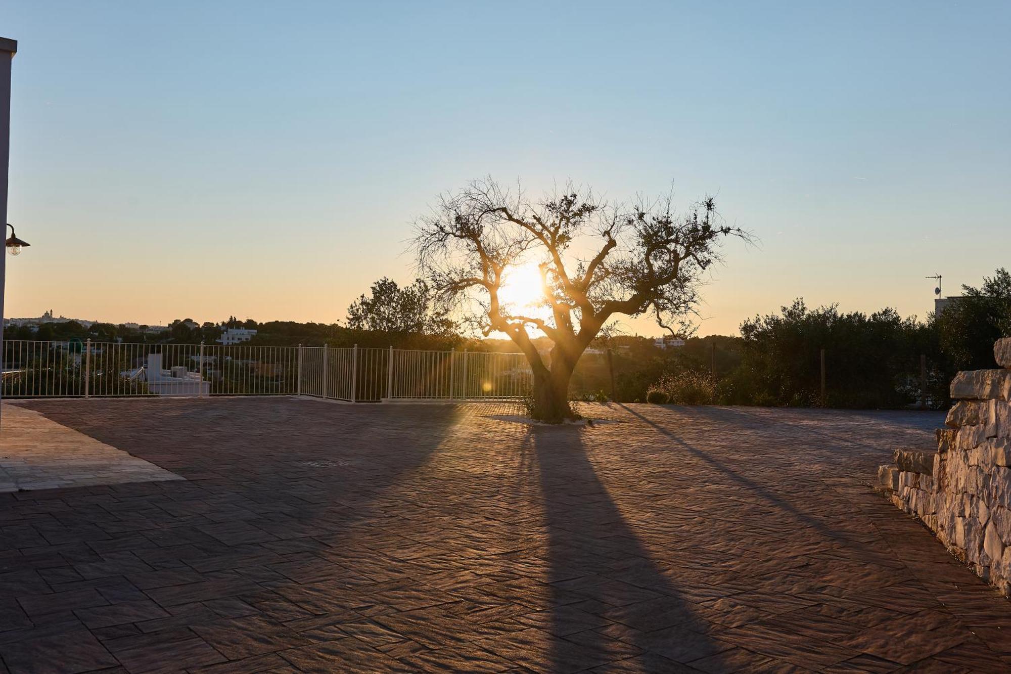 Trulli Mbs By Apulia Hospitality Lägenhet Locorotondo Exteriör bild